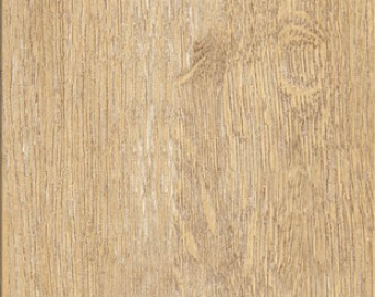 [200111127_4] Creation 55 Rigid Acoustic - 0441 Honey Oak